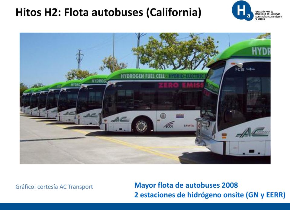 Transport Mayor flota de autobuses