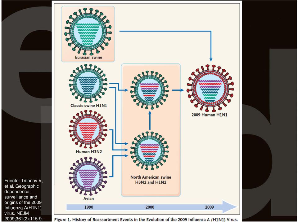 and origins of the 2009 Influenza