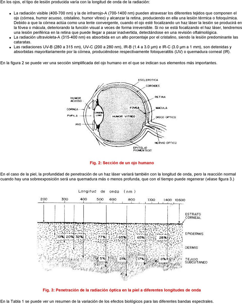 Debido a que la córnea actúa como una lente convergente, cuando el ojo esté focalizando un haz láser la lesión se producirá en la fóvea o mácula, deteriorando la función visual a veces de forma