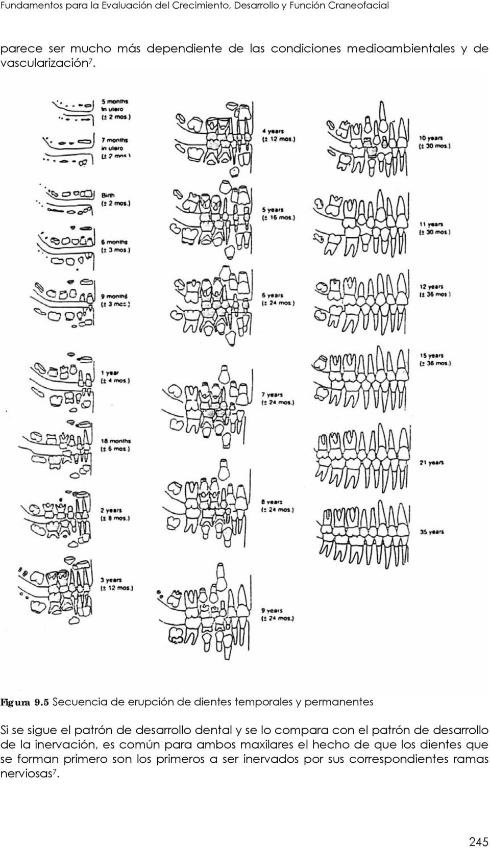 5 Secuencia de erupción de dientes temporales y permanentes Si se sigue el patrón de desarrollo dental y se lo compara con el
