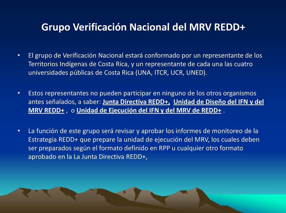 Estos representantes no pueden participar en ninguno de los otros organismos antes señalados, a saber: Junta Directiva REDD+, Unidad de Diseño del IFN y del MRV REDD+, o Unidad de