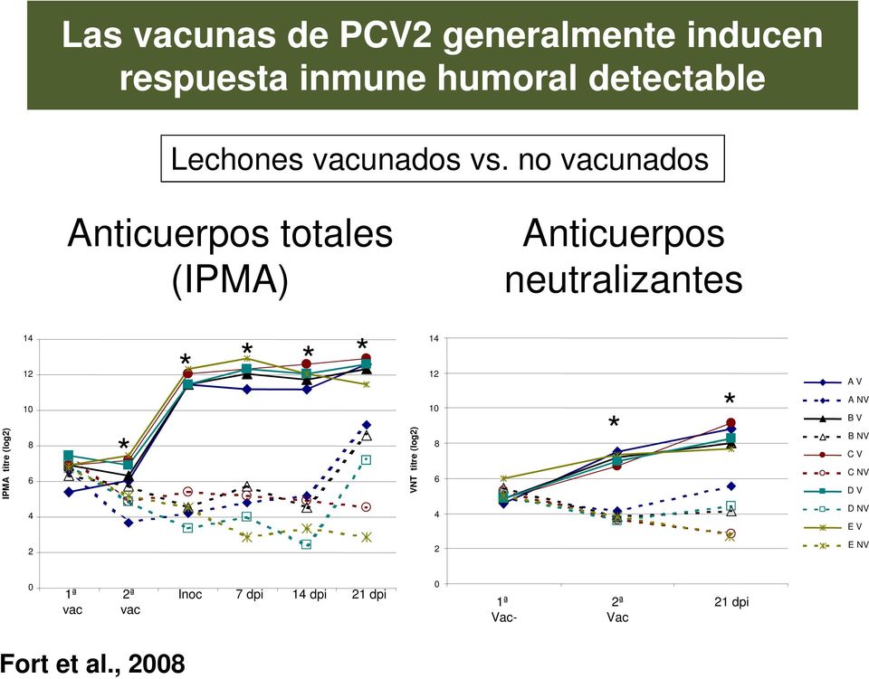 no vacunados Anticuerpos totales (IPMA) Anticuerpos neutralizantes IPMA titre (log2) 14 12 10