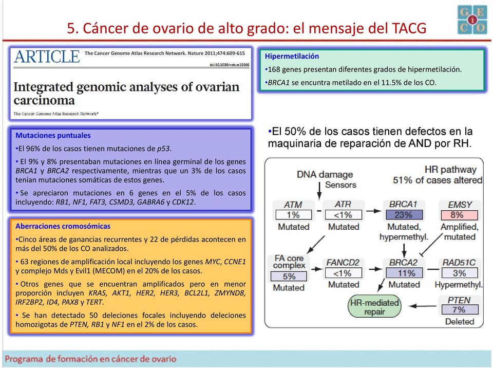 El 9% y 8% presentaban mutaciones en línea germinal de los genes BRCA1 y BRCA2 respectivamente, mientras que un 3% de los casos tenían mutaciones somáticas de estos genes.