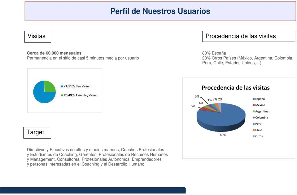 Unidos, ) Procedencia de las visitas Target 3% 5% 4% 3% 3% 2% 80% España México Argentina Colombia Perú Chile Otros Directivos y Ejecutivos de altos y