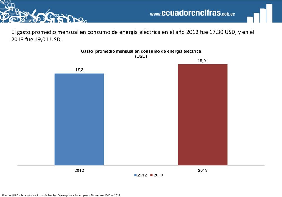 17,3 Gasto promedio mensual en consumo de energía eléctrica (USD) 19,01