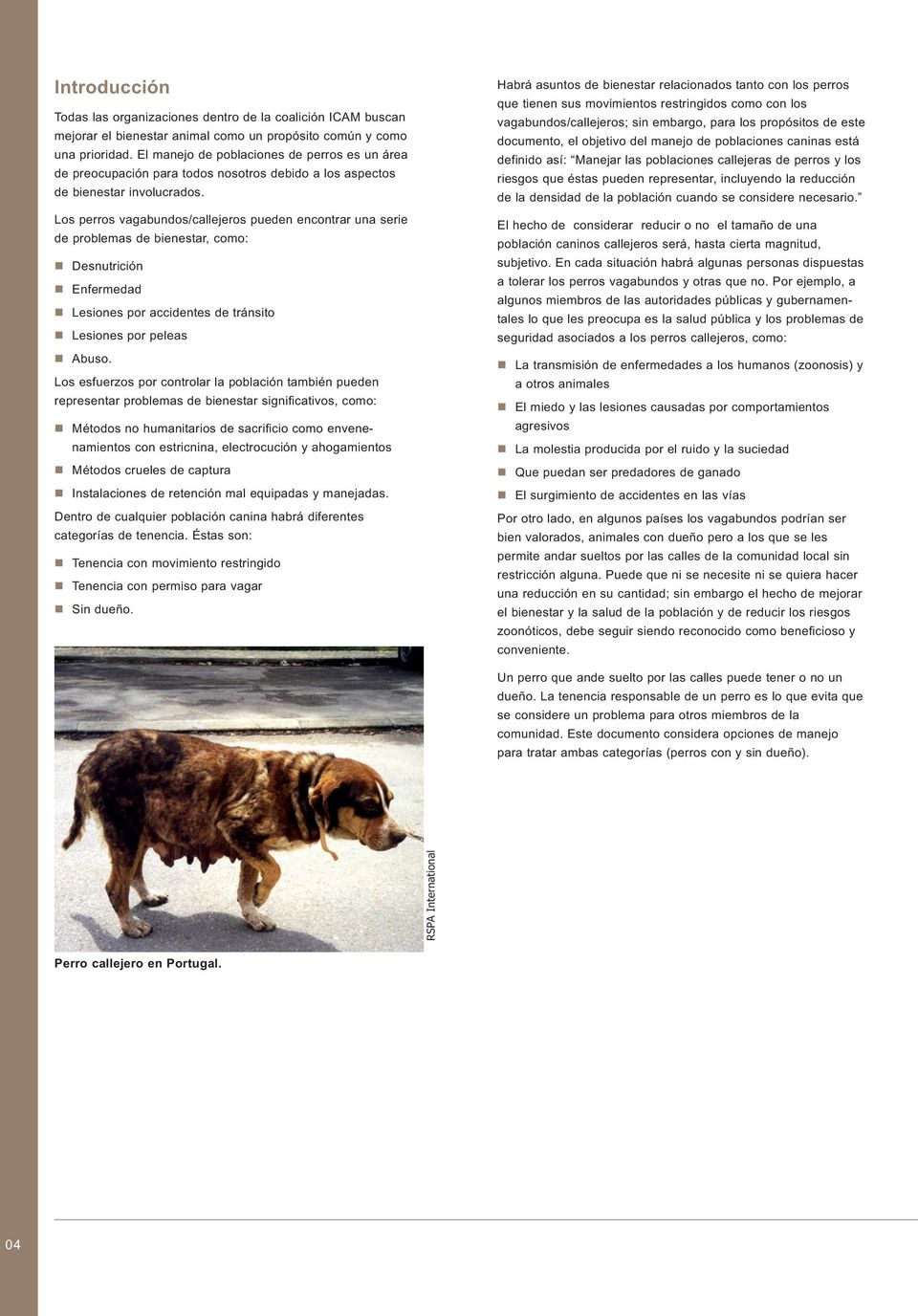 Los perros vagabundos/callejeros pueden encontrar una serie de problemas de bienestar, como: Desnutrición Enfermedad Lesiones por accidentes de tránsito Lesiones por peleas Abuso.