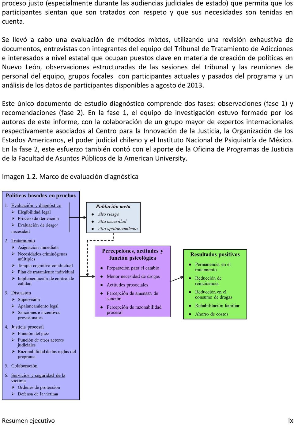 nivel estatal que ocupan puestos clave en materia de creación de políticas en Nuevo León, observaciones estructuradas de las sesiones del tribunal y las reuniones de personal del equipo, grupos