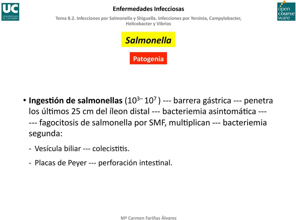 - - - - fagocitosis de salmonella por SMF, mul6plican - - - bacteriemia segunda: