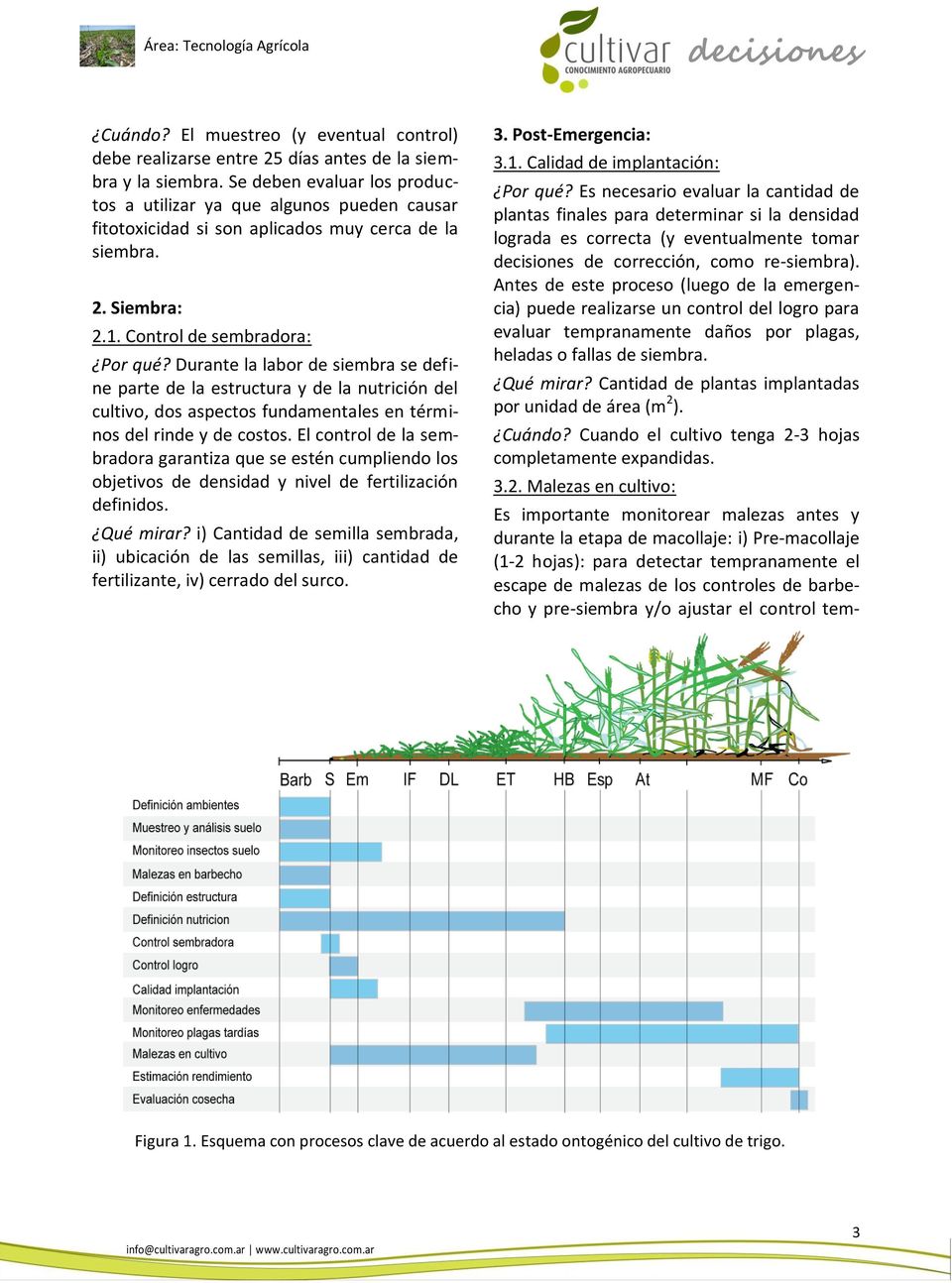 Durante la labor de siembra se define parte de la estructura y de la nutrición del cultivo, dos aspectos fundamentales en términos del rinde y de costos.