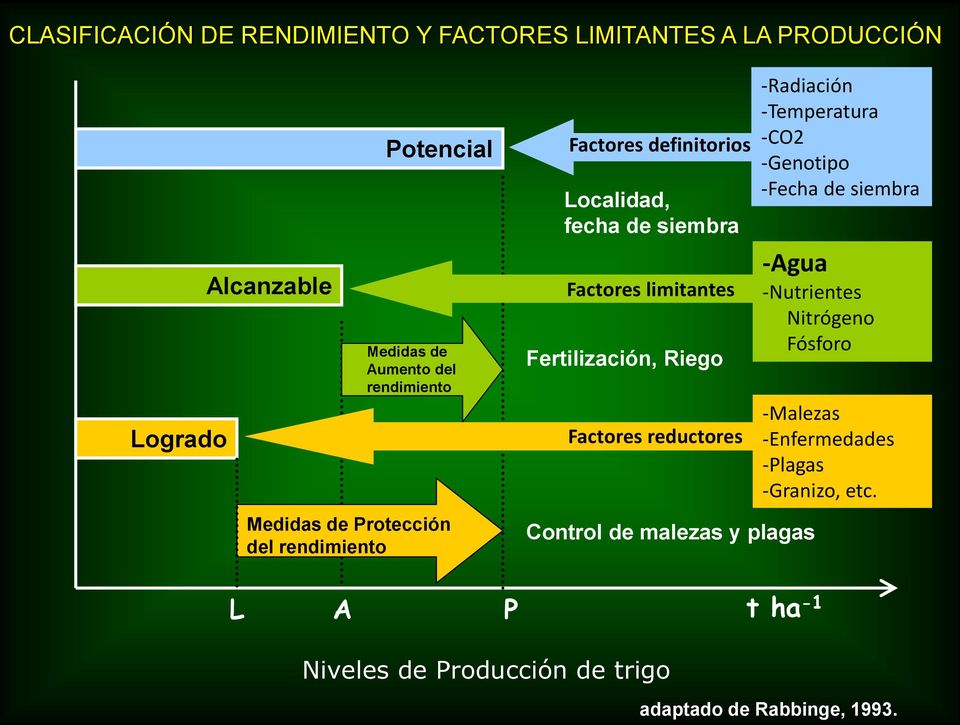 Fertilización, Riego Factores reductores Control de malezas y plagas -Radiación -Temperatura -CO2 -Genotipo -Fecha de siembra