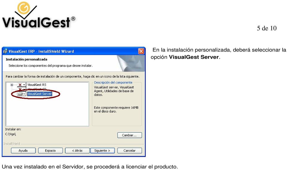 opción VisualGest Server.