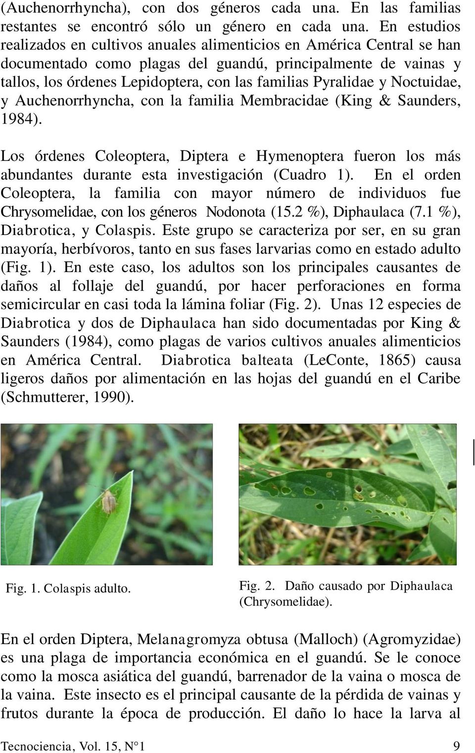 Pyralidae y Noctuidae, y Auchenorrhyncha, con la familia Membracidae (King & Saunders, 1984).