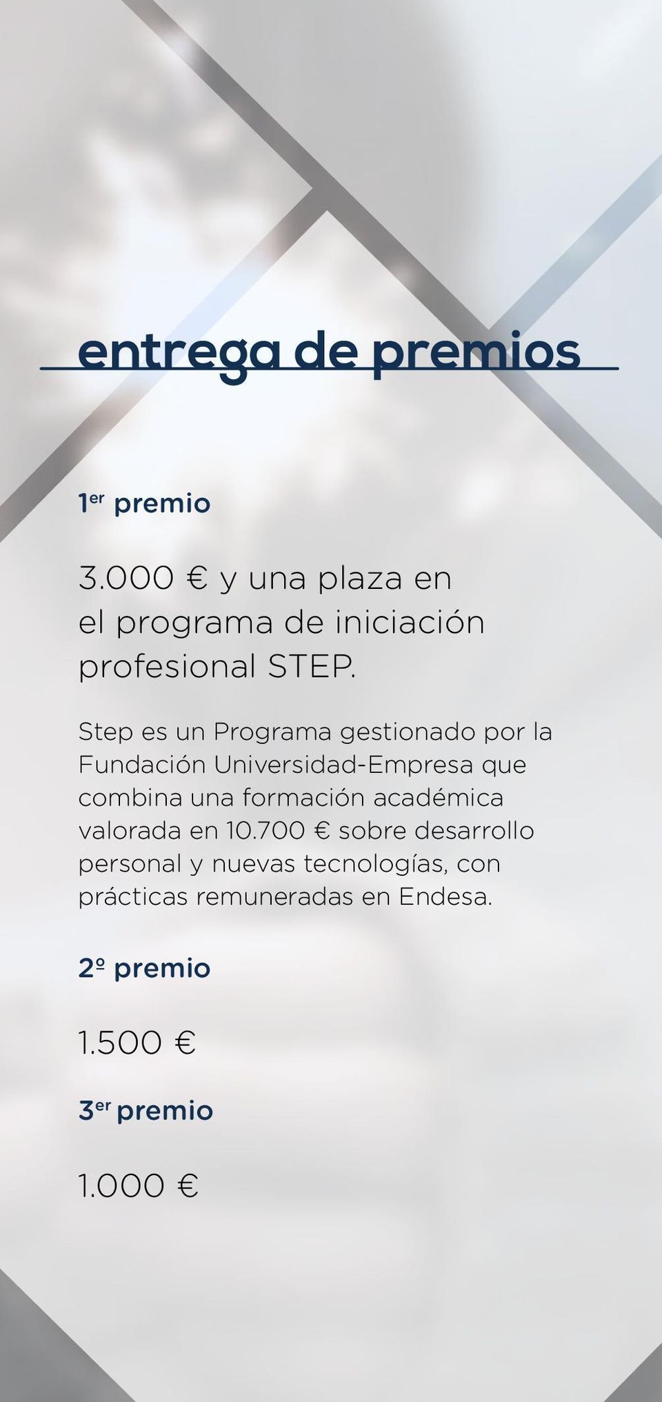 Step es un Programa gestionado por la Fundación Universidad-Empresa que combina una