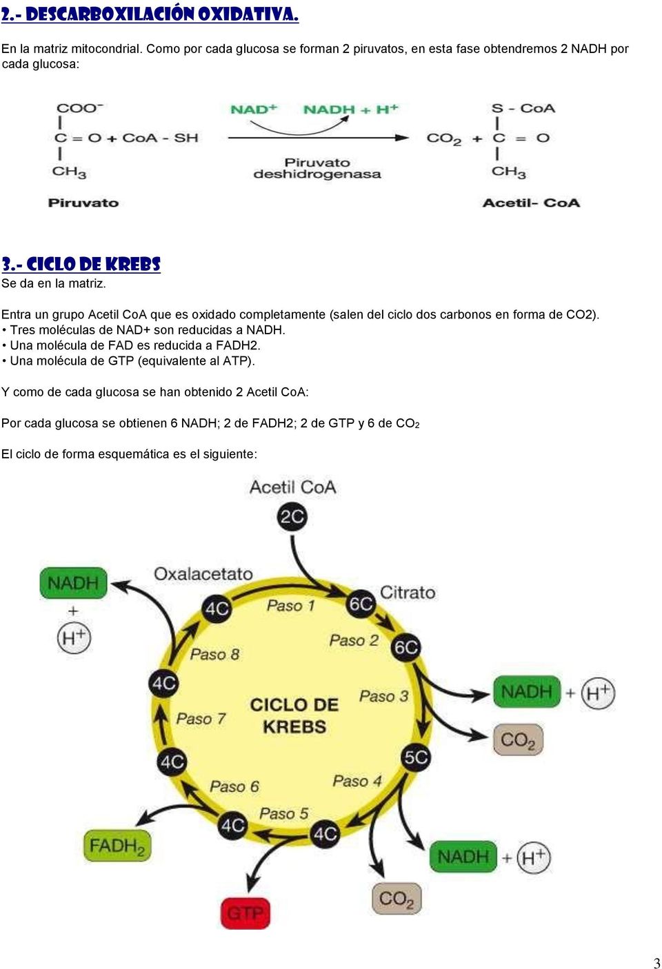 Entra un grupo Acetil CoA que es oxidado completamente (salen del ciclo dos carbonos en forma de CO2). Tres moléculas de NAD+ son reducidas a NADH.