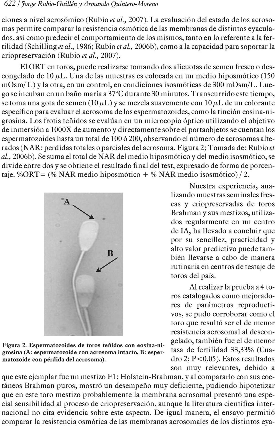 la fertilidad (Schilling et al., 1986; Rubio et al., 2006b), como a la capacidad para soportar la criopreservación (Rubio et al., 2007).
