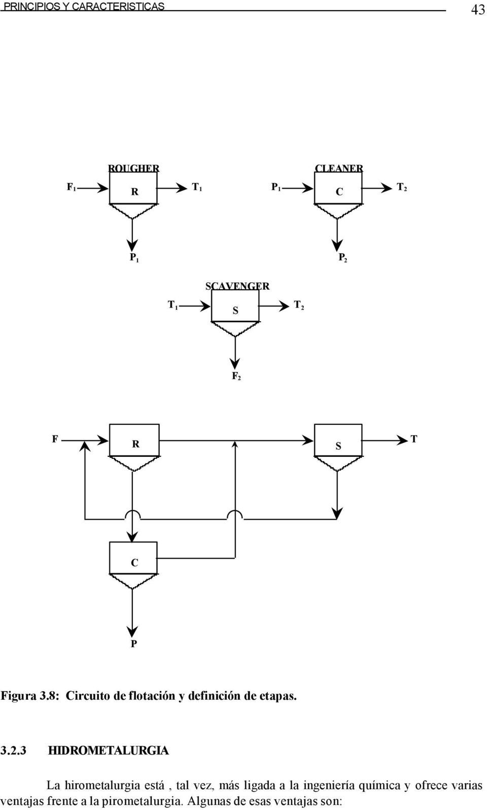 F 2 F R S T C P Figura 3.8: Circuito de flotación y definición de etapas. 3.2.3