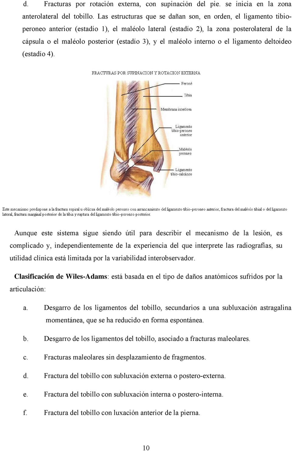 el maléolo interno o el ligamento deltoideo (estadío 4).