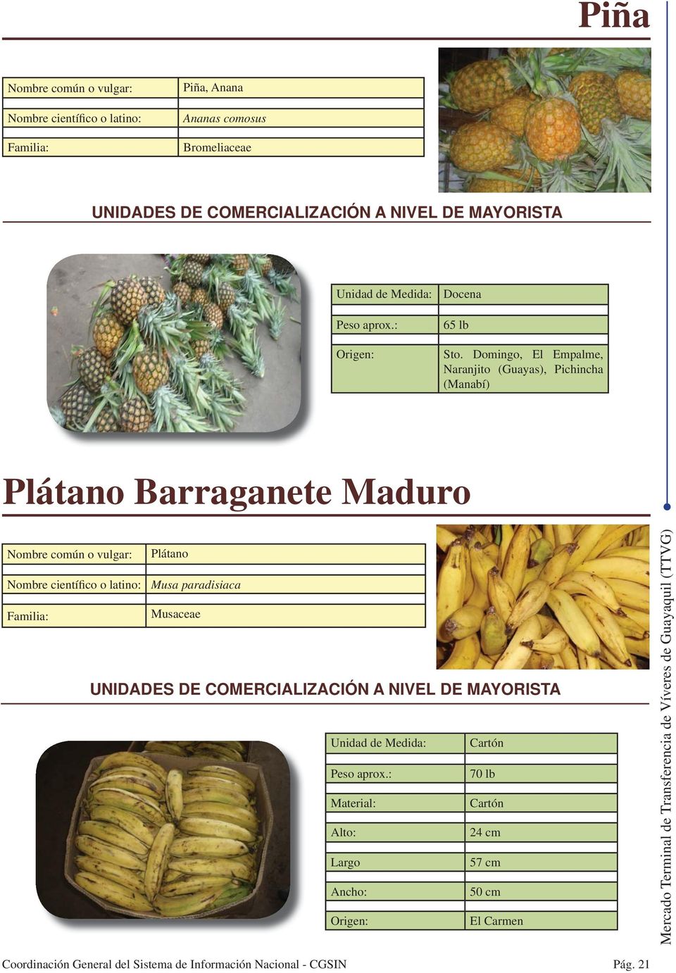 Plátano Barraganete Maduro Plátano Musa paradisiaca Musaceae
