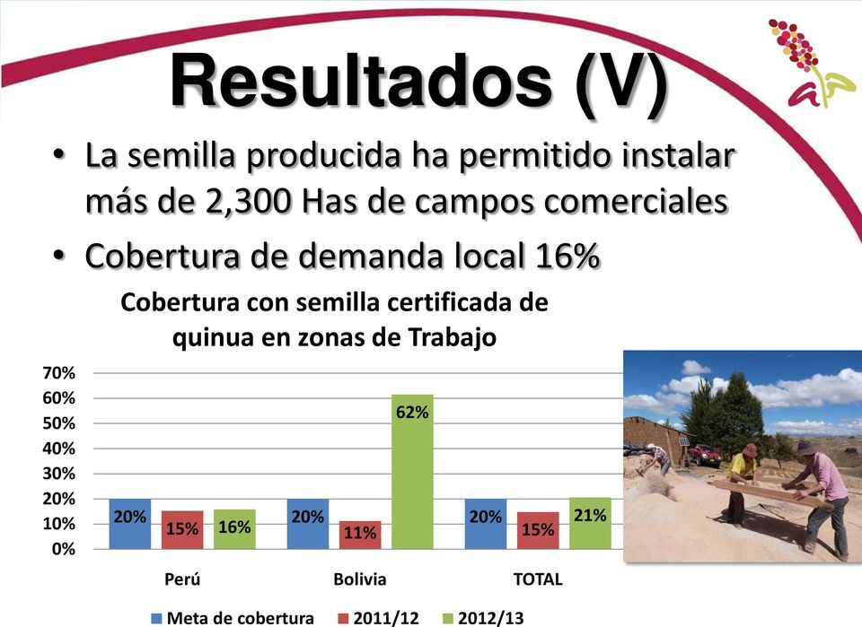 0% Cobertura con semilla certificada de quinua en zonas de Trabajo 62% 20%