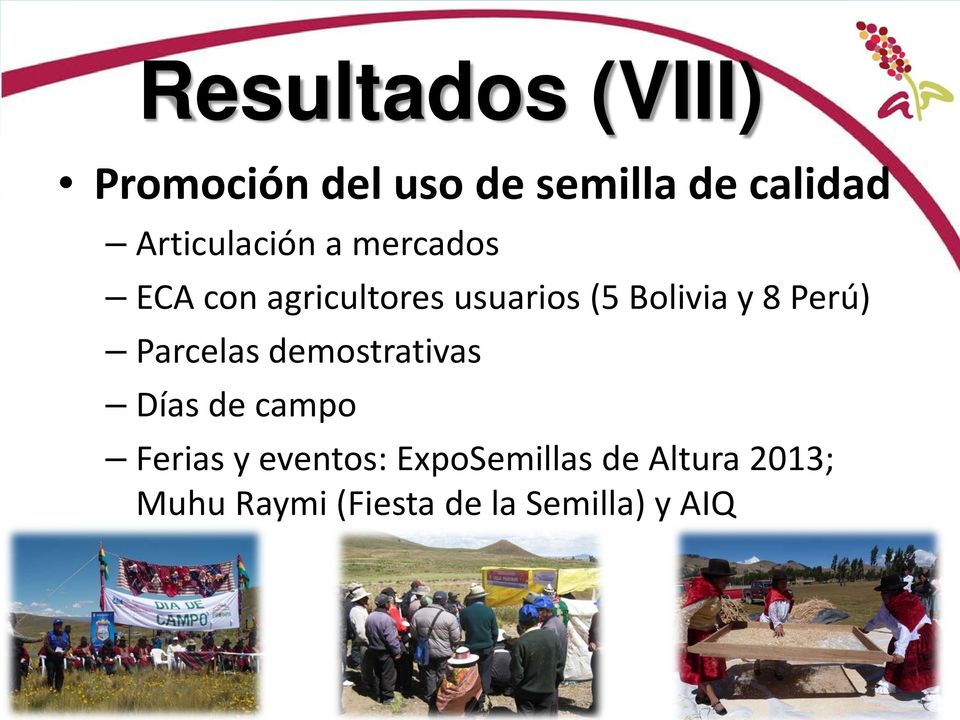 Bolivia y 8 Perú) Parcelas demostrativas Días de campo Ferias y