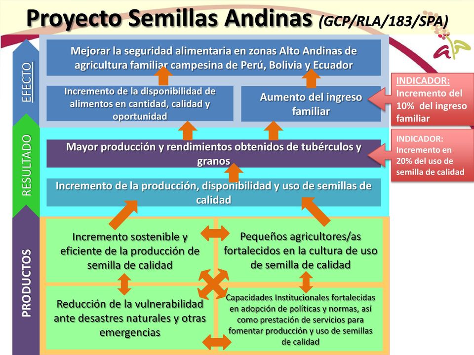 Incremento sostenible y eficiente de la producción de semilla de calidad Reducción de la vulnerabilidad ante desastres naturales y otras emergencias Pequeños agricultores/as fortalecidos en la