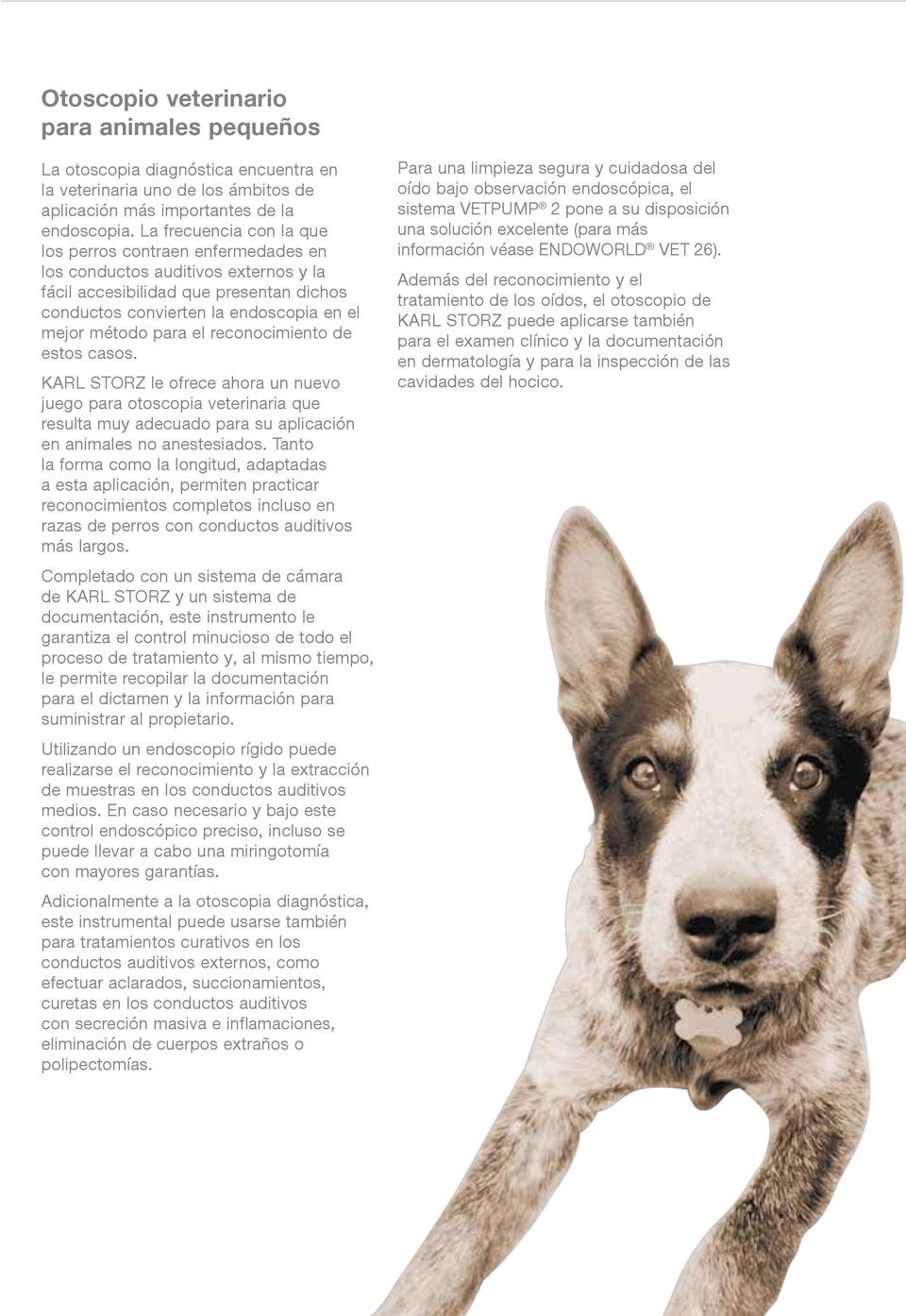 el reconocimiento de estos casos. KARL STORZ le ofrece ahora un nuevo juego para otoscopia veterinaria que resulta muy adecuado para su aplicación en animales no anestesiados.