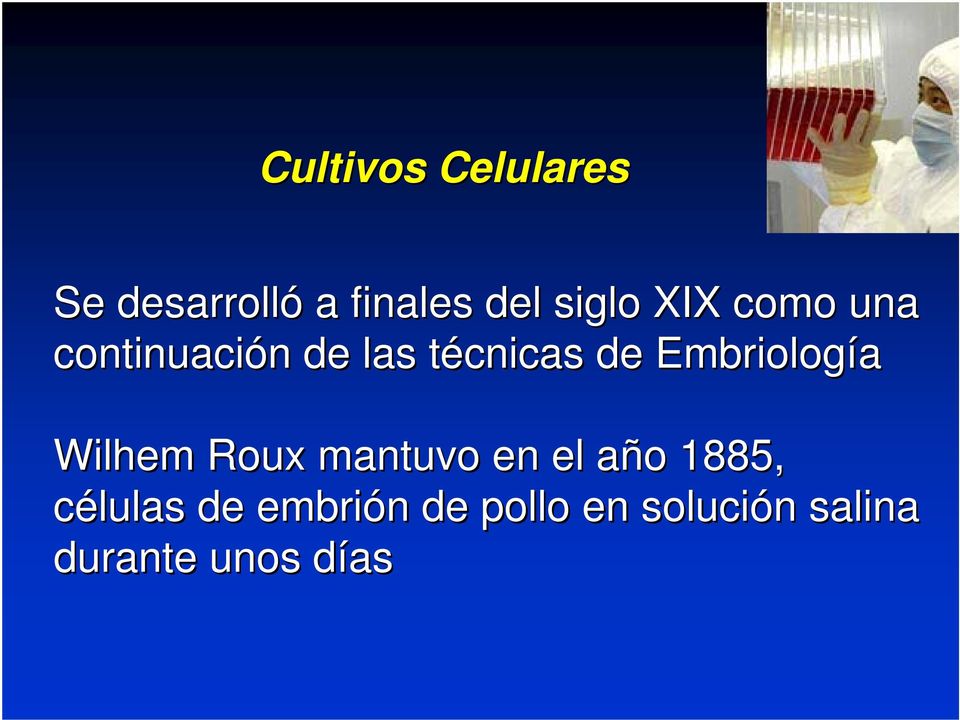 Embriología Wilhem Roux mantuvo en el año a o 1885,