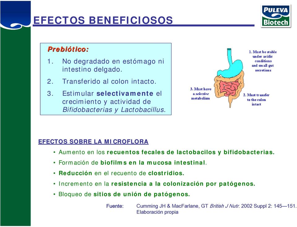 EFECTOS SOBRE LA MICROFLORA Aumento en los recuentos fecales de lactobacilos y bifidobacterias. Formación debiofilms en la mucosa intestinal.