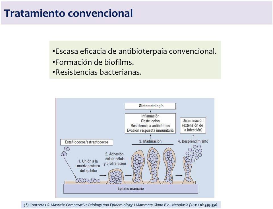 Resistencias bacterianas. (*) Contreras G.