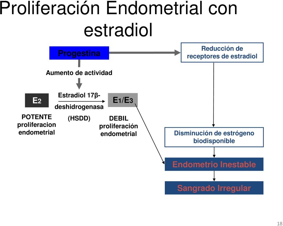 Estradiol 17β- deshidrogenasa (HSDD) E1/E3 DEBIL proliferación endometrial