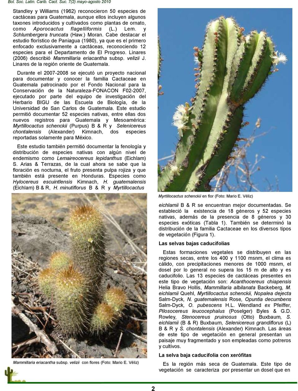 Cabe destacar el estudio florístico de Paniagua (1980), ya que es el primero enfocado exclusivamente a cactáceas, reconociendo 12 especies para el Departamento de El Progreso.