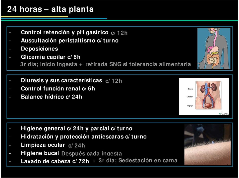 función renal c/6h - Balance hídrico c/24h - Higiene general c/24h y parcial c/turno - Hidratación y protección antiescaras