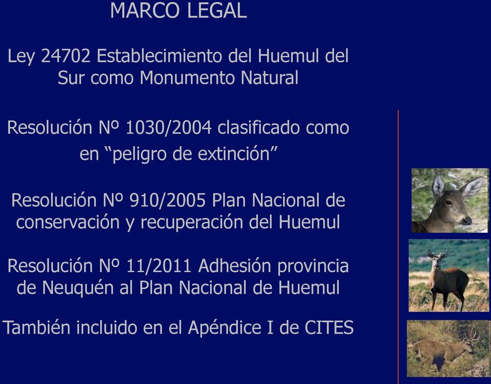 910/2005 Plan Nacional de conservación y recuperación del Huemul Resolución Nº 11/2011