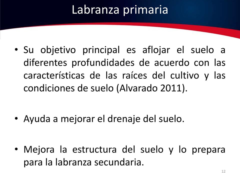 las condiciones de suelo (Alvarado 2011).