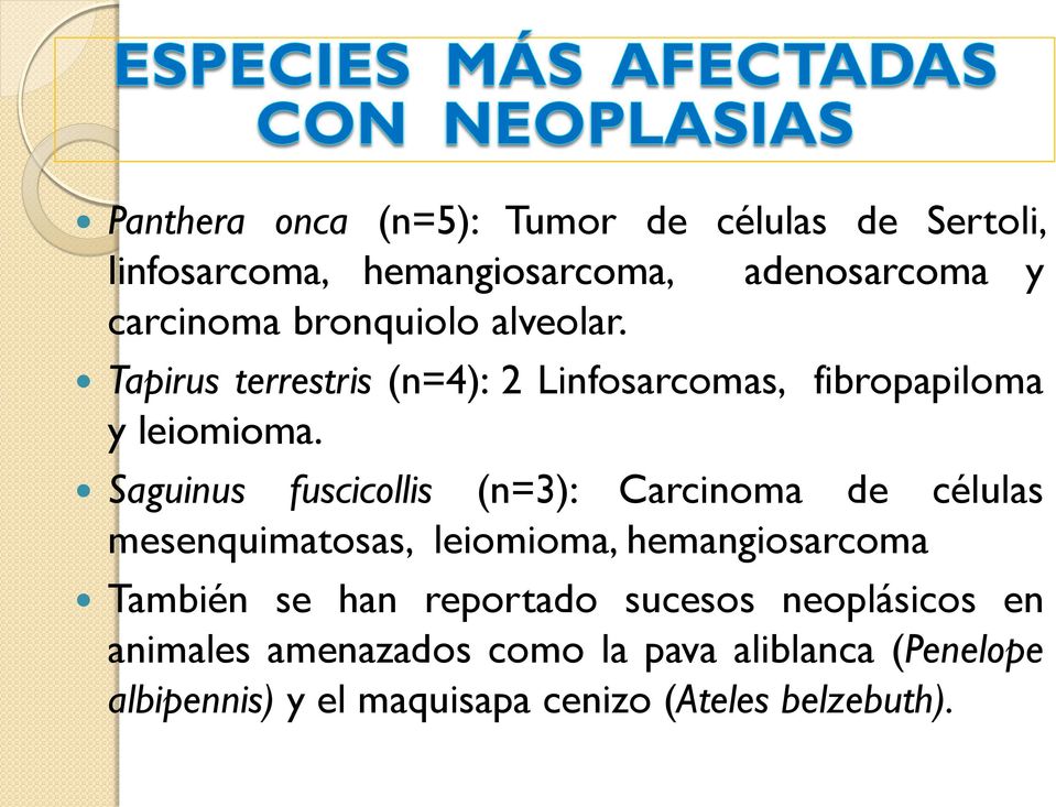 Saguinus fuscicollis (n=3): Carcinoma de células mesenquimatosas, leiomioma, hemangiosarcoma También se han