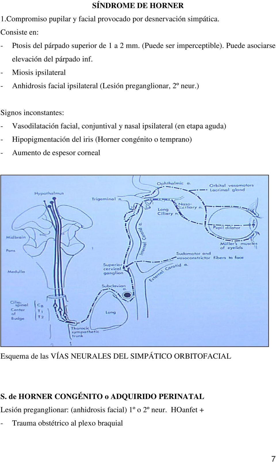) Signos inconstantes: - Vasodilatación facial, conjuntival y nasal ipsilateral (en etapa aguda) - Hipopigmentación del iris (Horner congénito o temprano) - Aumento de