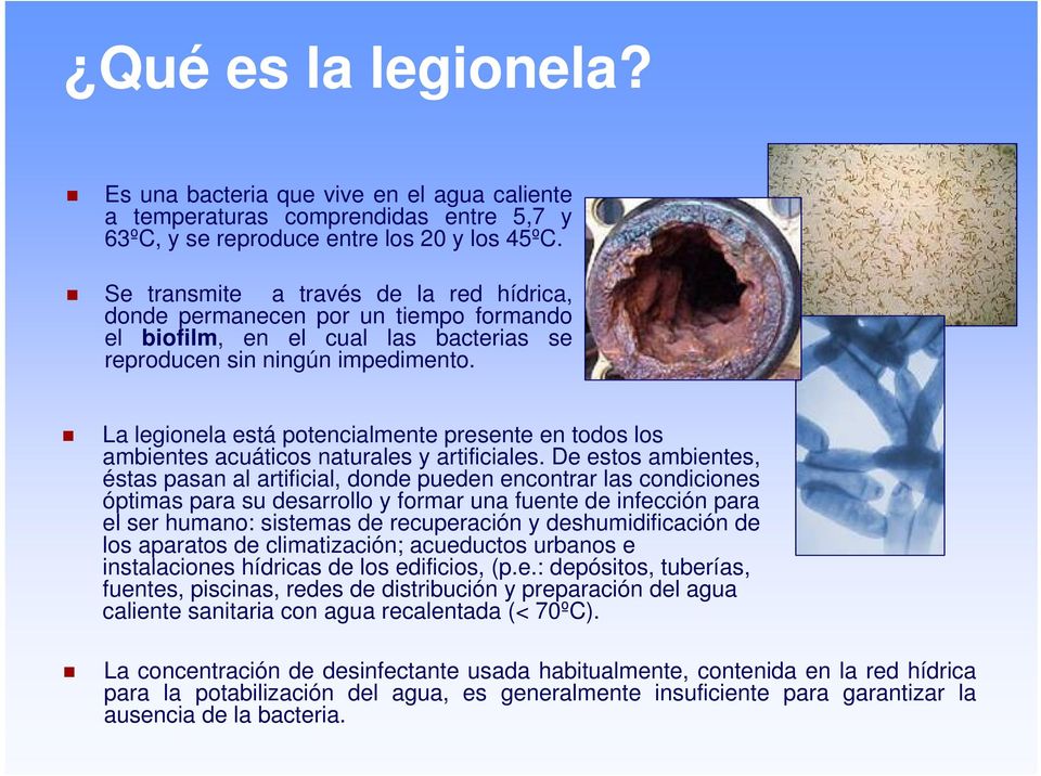 La legionela está potencialmente presente en todos los ambientes acuáticos naturales y artificiales.