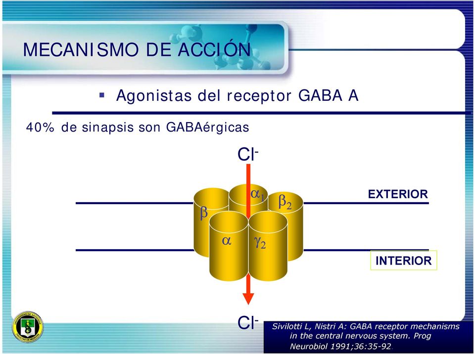 Cl - Sivilotti L, Nistri A: GABA receptor mechanisms in the