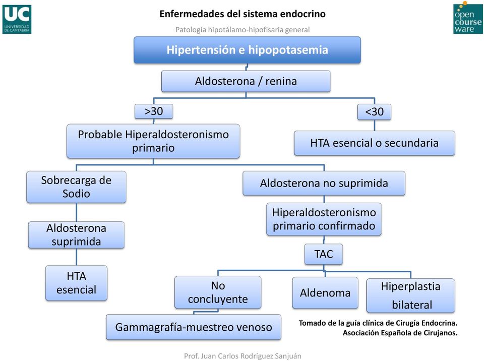 Hiperaldosteronismo primario confirmado TAC HTA esencial No concluyente Aldenoma Hiperplastia
