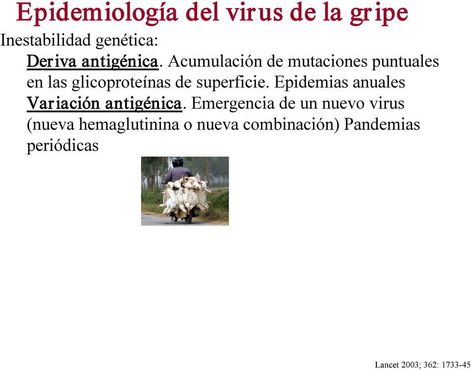 Epidemias anuales Variación antigénica.