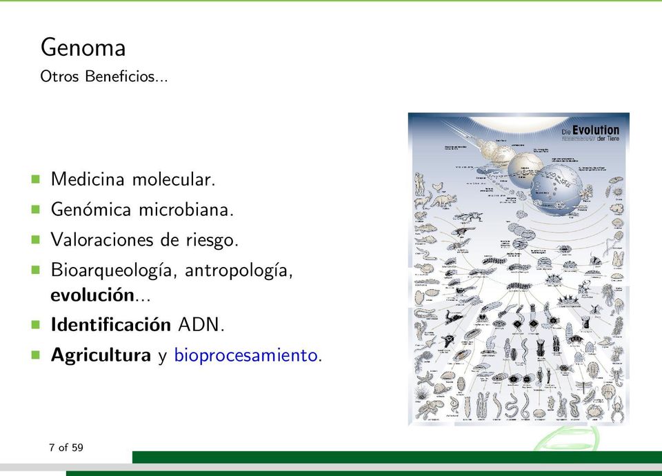 Bioarqueología, antropología, evolución.