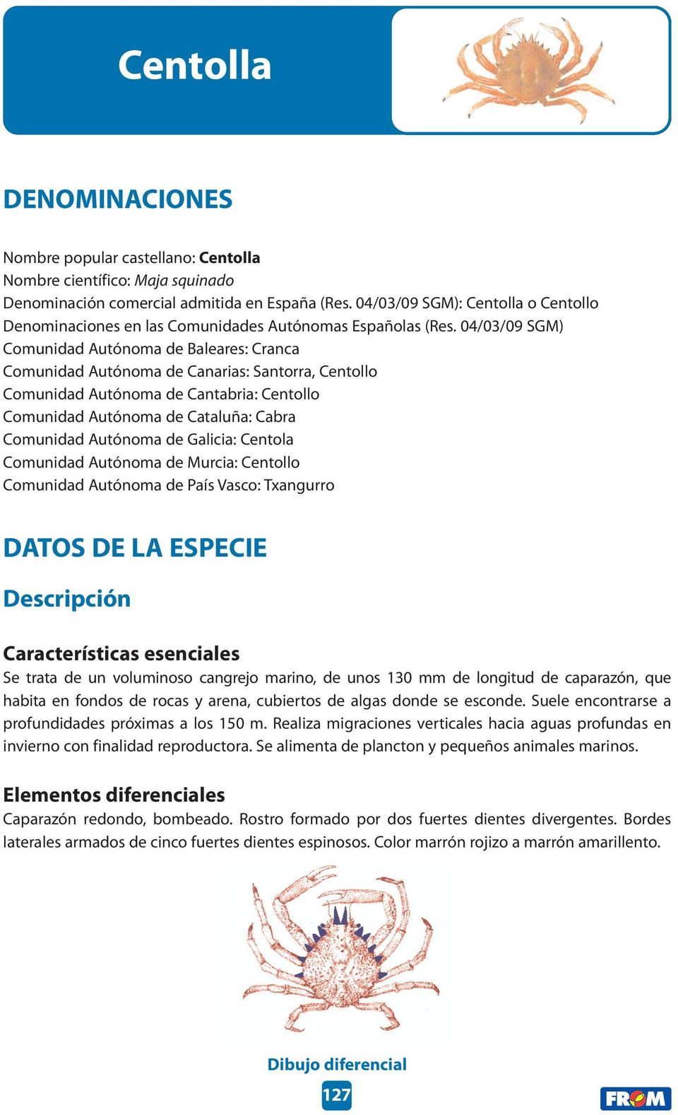 04/03/09 SGM) Comunidad Autónoma de Baleares: Cranca Comunidad Autónoma de Canarias: Santorra, Centollo Comunidad Autónoma de Cantabria: Centollo Comunidad Autónoma de Cataluña: Cabra Comunidad