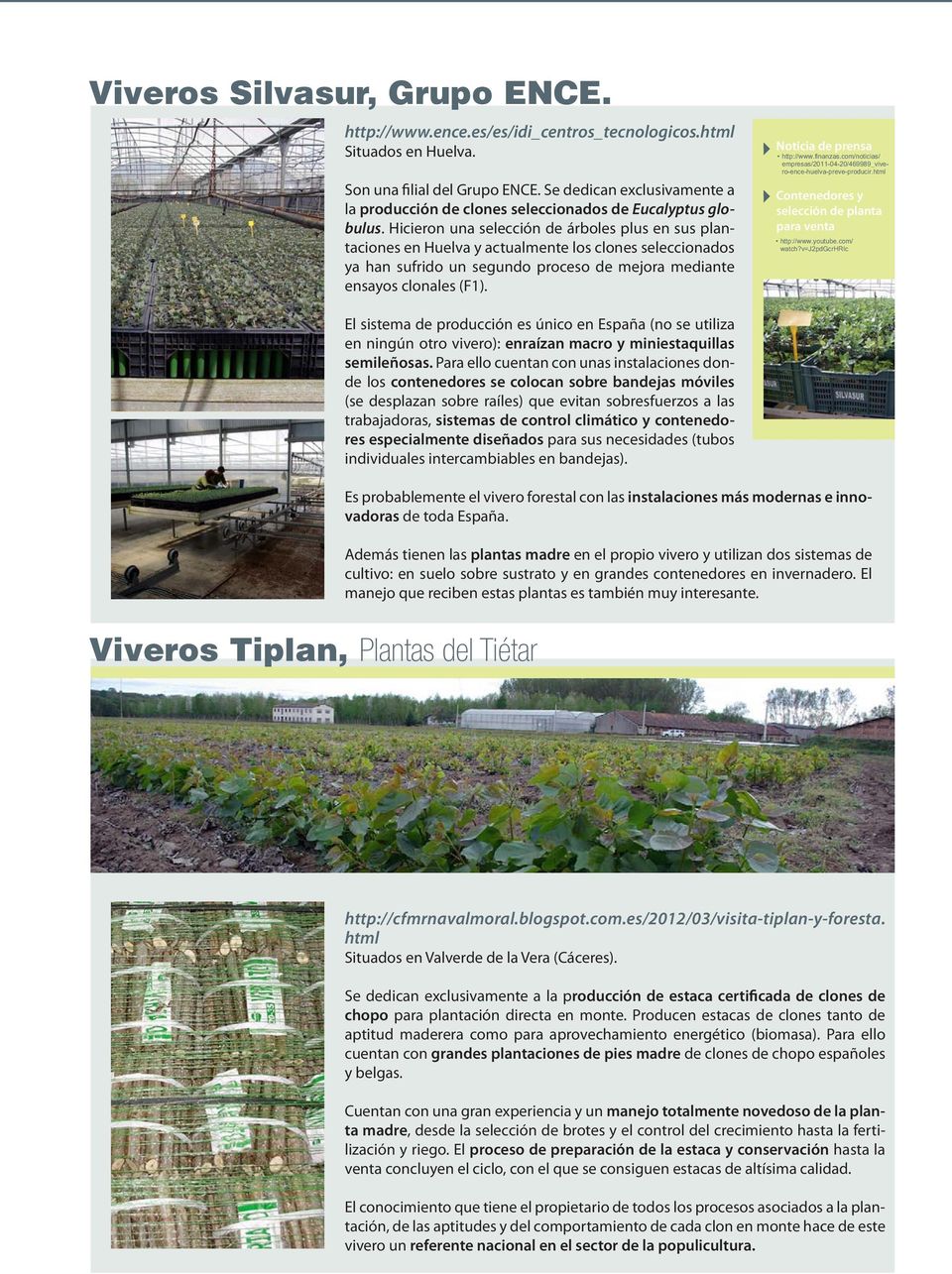 Hicieron una selección de árboles plus en sus plantaciones en Huelva y actualmente los clones seleccionados ya han sufrido un segundo proceso de mejora mediante ensayos clonales (F1).