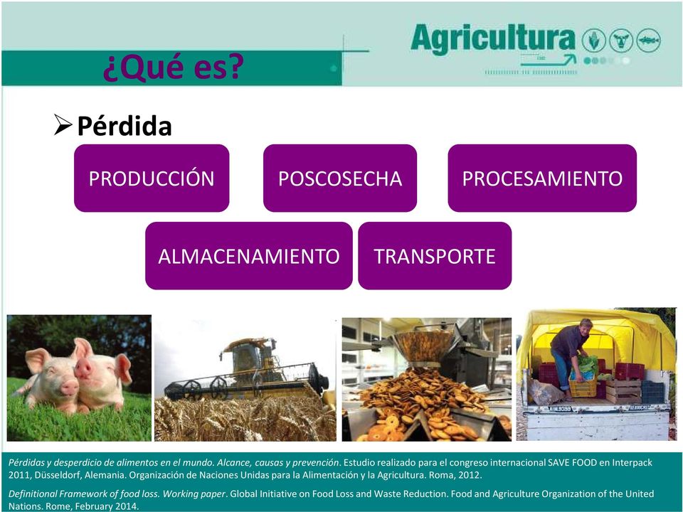 Organización de Naciones Unidas para la Alimentación y la Agricultura. Roma, 2012. Definitional Framework of food loss.