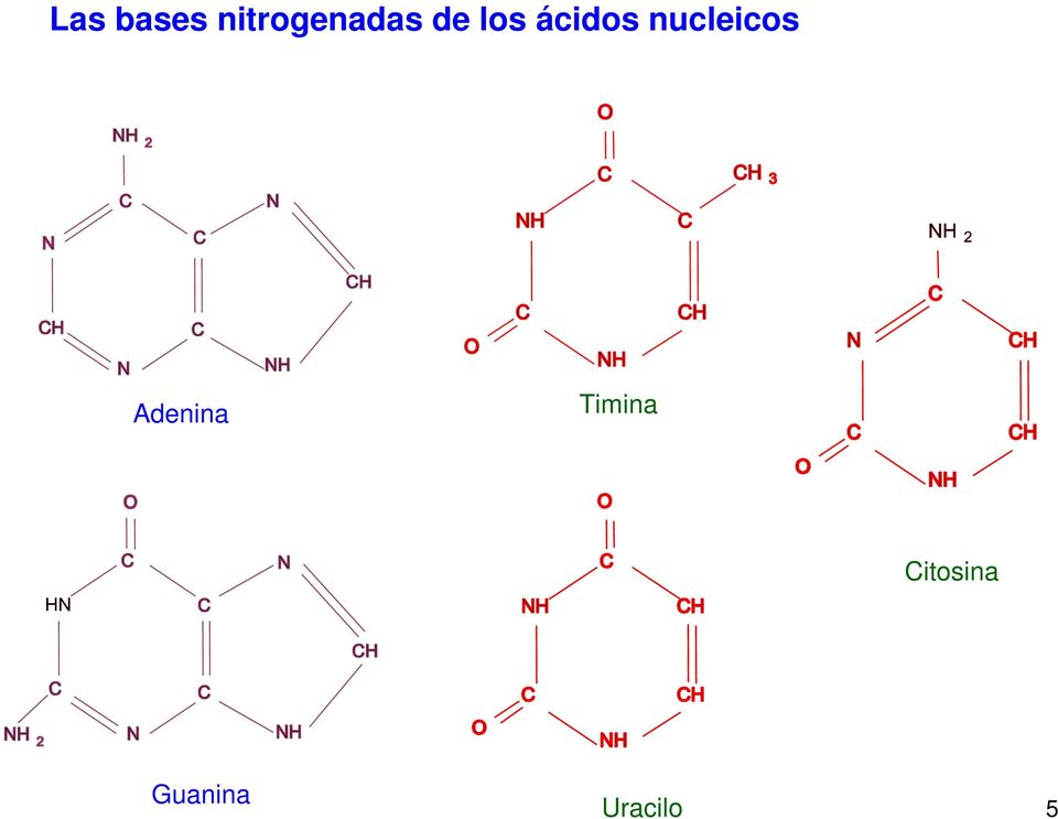 ácidos nucleicos