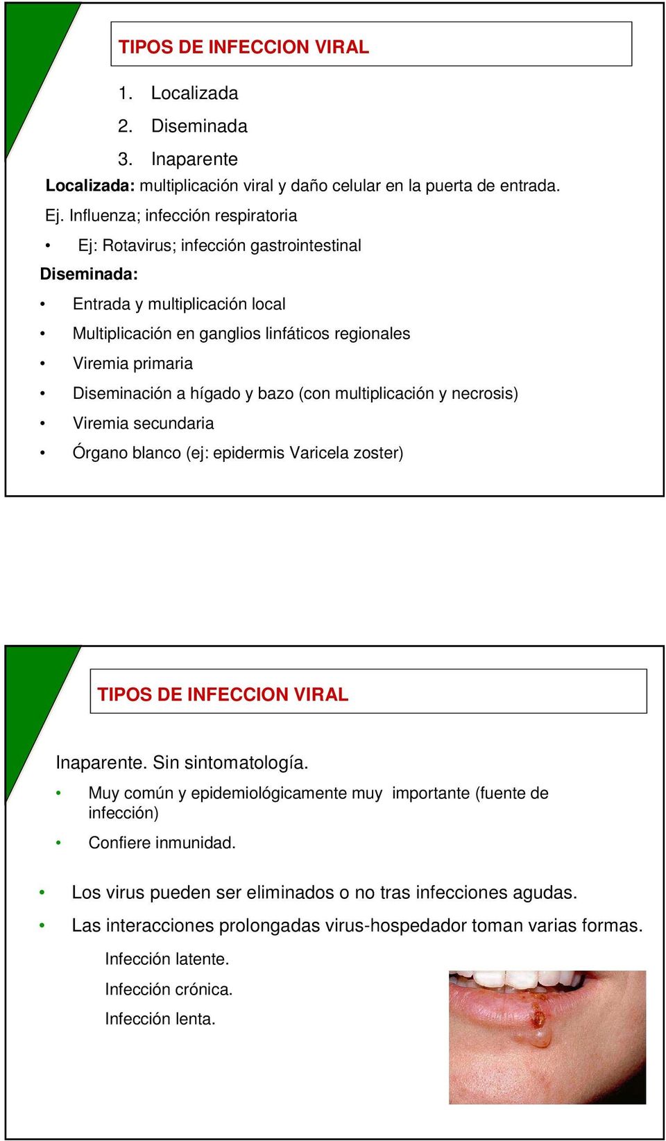 Diseminación a hígado y bazo (con multiplicación y necrosis) Viremia secundaria Órgano blanco (ej: epidermis Varicela zoster) TIPOS DE INFECCION VIRAL Inaparente. Sin sintomatología.