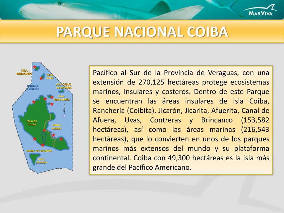 Dentro de este Parque se encuentran las áreas insulares de Isla Coiba, Ranchería (Coibita), Jicarón, Jicarita, Afuerita, Canal de Afuera,