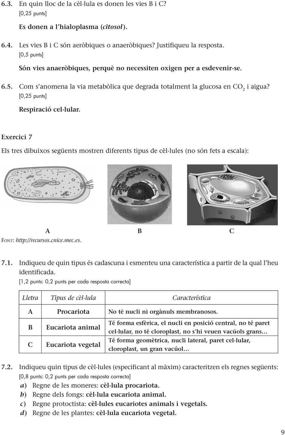Exercici 7 Els tres dibuixos següents mostren diferents tipus de cèl lules (no són fets a escala): Font: http://recursos.cnice.mec.es. A B C 7.1.
