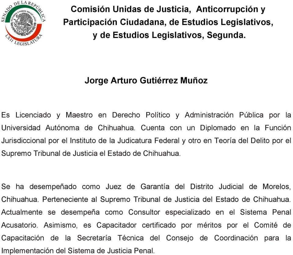 Se ha desempeñado como Juez de Garantía del Distrito Judicial de Morelos, Chihuahua. Perteneciente al Supremo Tribunal de Justicia del Estado de Chihuahua.
