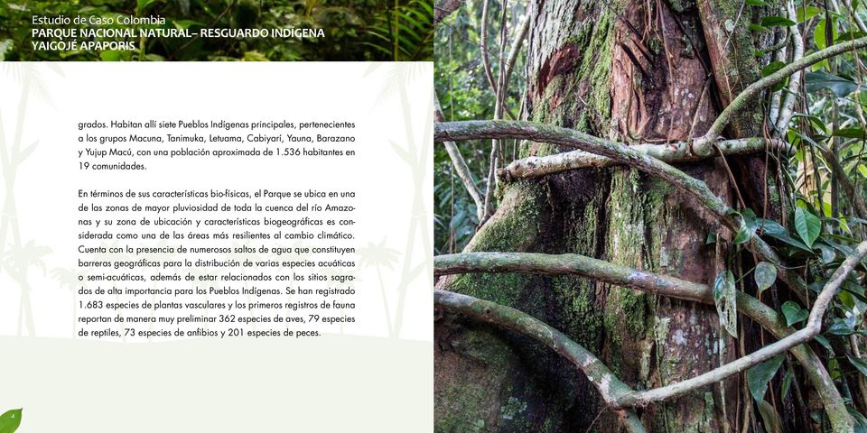 En términos de sus características bio-físicas, el Parque se ubica en una de las zonas de mayor pluviosidad de toda la cuenca del río Amazonas y su zona de ubicación y características biogeográficas